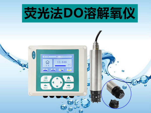 在线溶解氧分析仪（升级款）